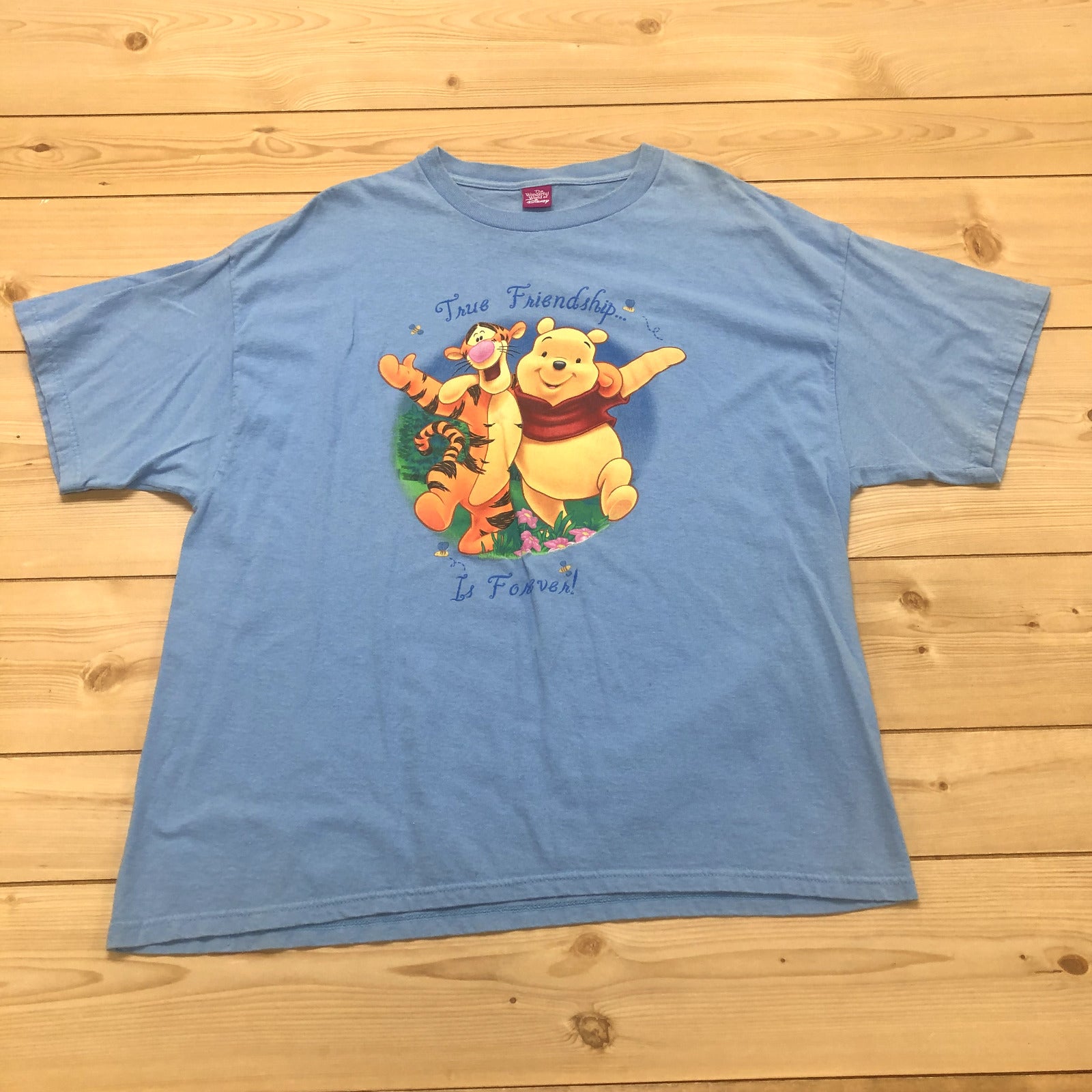 Disney Blue True Friendship Tigger & Pooh Short Sleeve T-Shirt Womens Size XL